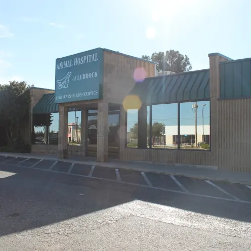 Front Entrance to Animal Hospital of Lubbock